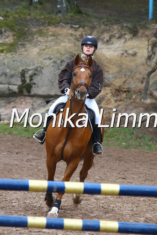 005L4242_Lifers_Spring A_R-IQ Cup.JPG